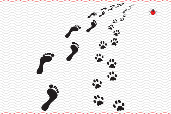 Man Dog Footsteps
